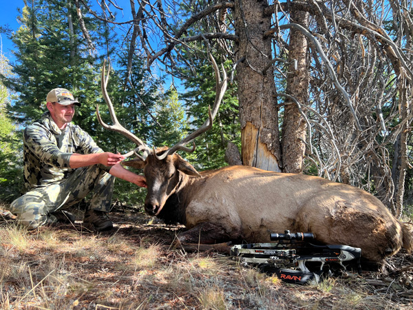 The Crossbow That Saved My Season: Real Elk Hunt Story 2 The Crossbow That Saved My Season: Real Elk Hunt Story